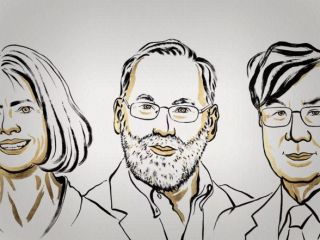 سه دانشمند آمریکایی و ژاپنی برنده نوبل پزشکی ۲۰۲۵ در زمینه «تحمل ایمنی محیطی» شدند