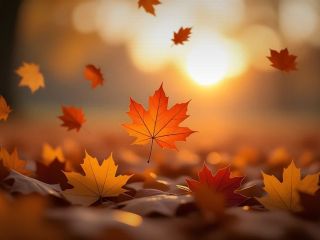 فال روز جمعه ۱۰ اکتبر - ۱۸ مهر