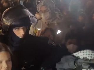 مشت محکم یک پلیس آلمان به صورت معترض زن حامی فلسطین در برلین - ویدیو