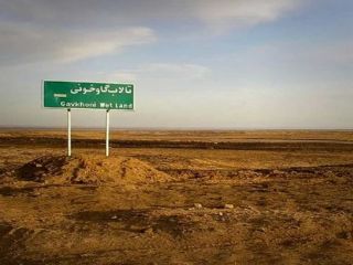 شیوع سرطان خون و بیماری‌های خودایمنی و نادر در میان ساکنان اطراف تالاب گاوخونی