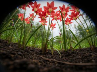 فال روز دوشنبه ۱۳ اکتبر - ۲۱ مهر