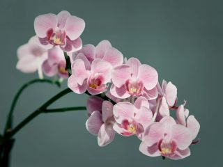 فال روز سه‌شنبه ۱۴ اکتبر - ۲۲ مهر