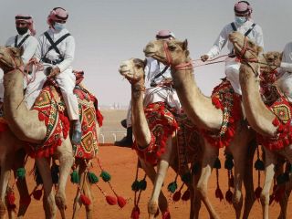 شترسواری به جای چوگان؛ تبلیغ ورزش بومی کشورهای عربی، فراموشی میراث خودمان