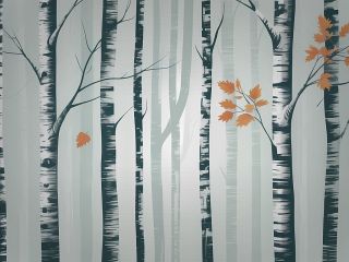 فال روز چهارشنبه ۱۵ اکتبر - ۲۳ مهر