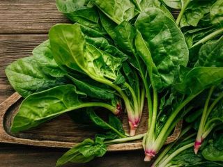 اسفناج خام بهتر است یا پخته؟