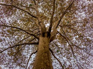 فال روز جمعه ۱۷ اکتبر - ۲۵ مهر