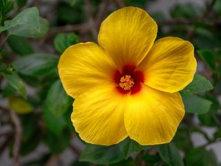 فال روز دوشنبه ۲۰ اکتبر - ۲۸ مهر