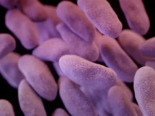 سازمان جهانی بهداشت: بی‌اثر شدن آنتی‌بیوتیک‌ها شدت گرفته است