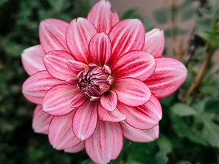 فال روز سه‌شنبه ۲۱ اکتبر - ۲۹ مهر