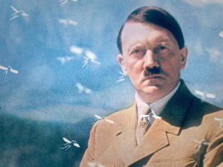 معمار هیتلر چگونه از مجازات مرگ گریخت؟