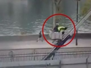 تصاویر تازه از لحظه فرار دزدان موزه لوور پاریس