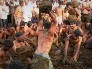 ببینید؛ آیین عجیب هندوها که با مبارزه با «تاپاله گاو» برگزار می‌شود!