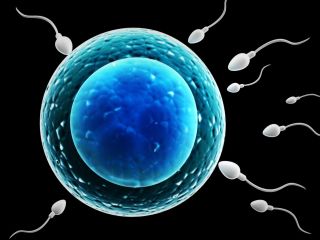 از چه سنی جهش‌های ژنتیکی بیماری‌زا در اسپرم پدر بیشتر می‌شود؟