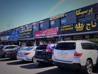 اعترافات یک لاکپشت ایرانی در کانادا: عجب بهشتی است این خارج!