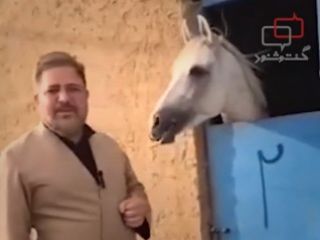 آخوندها پس از دخالت در امور پزشکی حالا وارد امور دامپزشکی  شدند