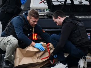 سارقان میلیون دلاری موزه لوور حین فرار به آفریقا دستگیر شدند!