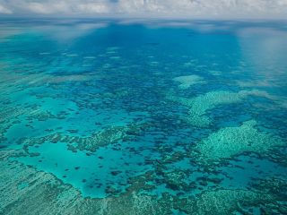 جسد زن سالخورده‌ای که از کشتی تفریحی جا مانده بود در جزیره‌ای در استرالیا پیدا شد