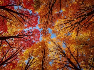 فال روز جمعه ۳۱ اکتبر - ۹ آبان