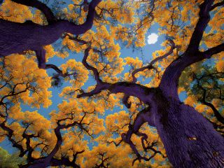 فال روز یکشنبه ۲ نوامبر - ۱۱ آبان