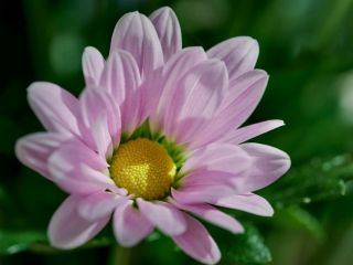 فال روز دوشنبه ۳ نوامبر - ۱۲ آبان