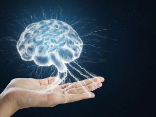 علم چه می‌گوید؛ آیا مغز انسان «قدرت پیش‌بینی» دارد؟