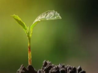 هفت نظریه پرطرفدار درباره منشاء حیات