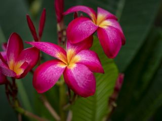 فال روز پنجشنبه ۶ نوامبر - ۱۵ آبان