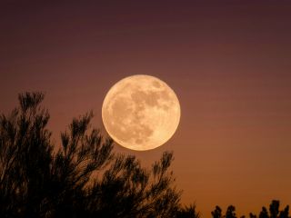 آیا ماه کامل واقعا بر سلامت جسم و روان تاثیر می‌گذارد؟