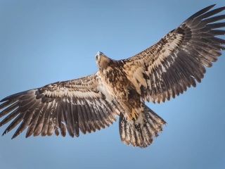 فال روز دوشنبه ۱۰ نوامبر - ۱۹ آبان