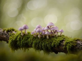 فال روز سه‌شنبه ۱۱ نوامبر - ۲۰ آبان