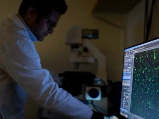 بیماری‌های خودایمنی؛ چه کسانی در خطرند و چرا درمان آنها دشوار است