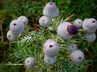فال روز دوشنبه ۱۷ نوامبر - ۲۶ آبان