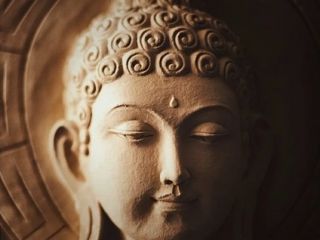 علم چه می‌گوید؛ راز «چشم سوم» چیست و آیا به انسان قدرتی ماورایی می‌دهد؟