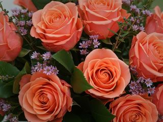 فال روز پنجشنبه ۲۰ نوامبر - ۲۹ آبان