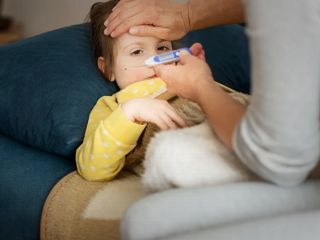 شیوع آنفلوآنزا در اروپا «به‌طور غیرمعمول زود» همزمان با سویه جدید، هشدار مقام‌های بهداشتی