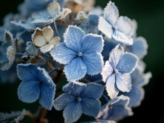 فال روز شنبه ۲۲ نوامبر - ۱ آذر