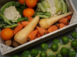 آیا رژیم وگان برای سالمندان مناسب است؟