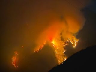 ادامه حریق در هیرکانی؛ جنگل باستانی شمال ایران همچنان در آتش می‌سوزد
