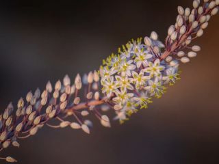 فال روز دوشنبه ۲۴ نوامبر - ۳ آذر