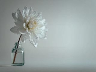 فال روز سه‌شنبه ۲۵ نوامبر - ۴ آذر