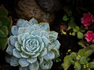 فال روز چهارشنبه ۲۶ نوامبر - ۵ آذر