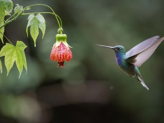 فال روز پنجشنبه ۲۷ نوامبر - ۶ آذر