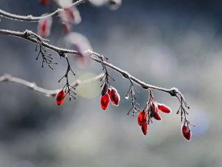 فال روز یکشنبه ۳۰ نوامبر - ۹ آذر