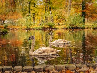 فال روز دوشنبه ۱ دسامبر - ۱۰ آذر