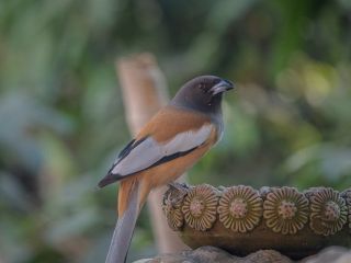 فال روز سه‌شنبه ۲ دسامبر - ۱۱ آذر