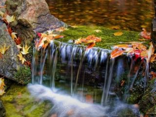 فال روز چهارشنبه ۳ دسامبر - ۱۲ آذر