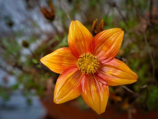 فال روز جمعه ۵ دسامبر - ۱۴ آذر