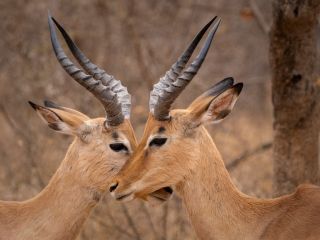 فال روز یکشنبه ۷ دسامبر - ۱۶ آذر