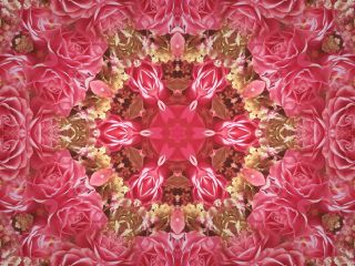 فال روز چهارشنبه ۱۰ دسامبر - ۱۹ آذر