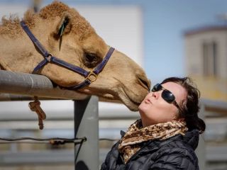 نخستین بوسه به ۲۱ میلیون سال پیش بازمی‌گردد